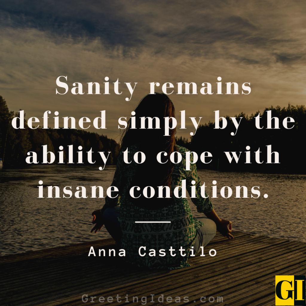 35 Best Sanity Quotes and Sayings Amidst a Chaotic Life