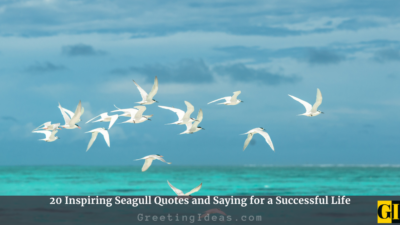 20 Inspiring Seagull Quotes and Saying for a Successful Life