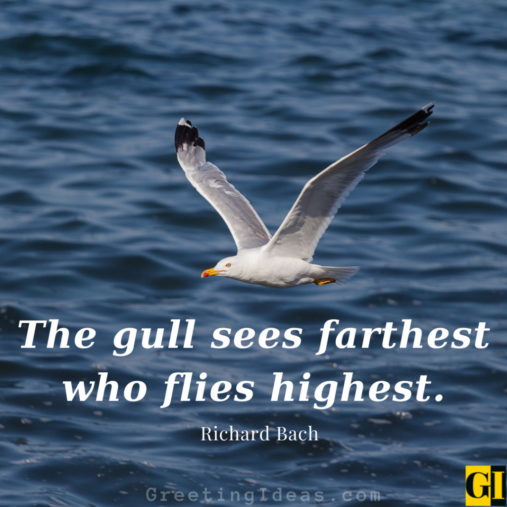 Seagull Quotes Images Greeting Ideas 1