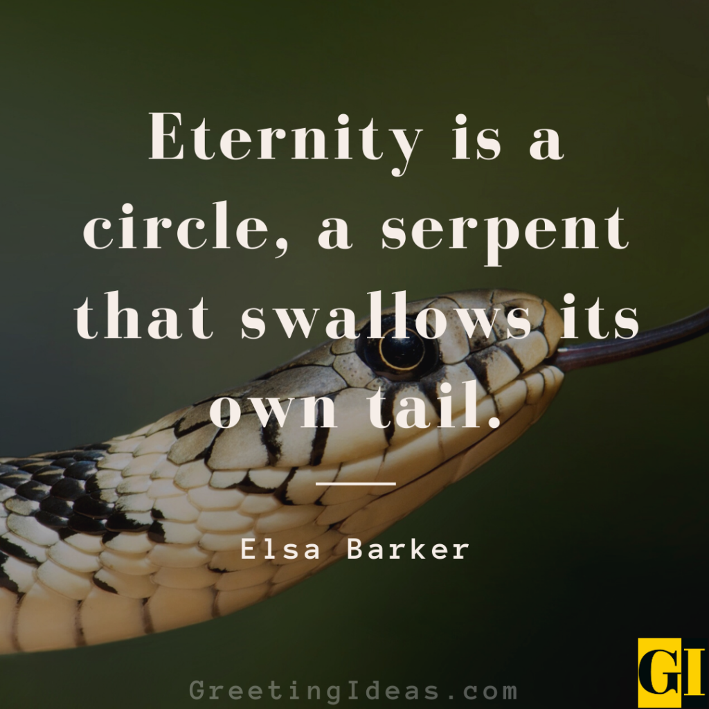 30-wise-serpent-quotes-and-sayings-to-live-a-meaningful-life