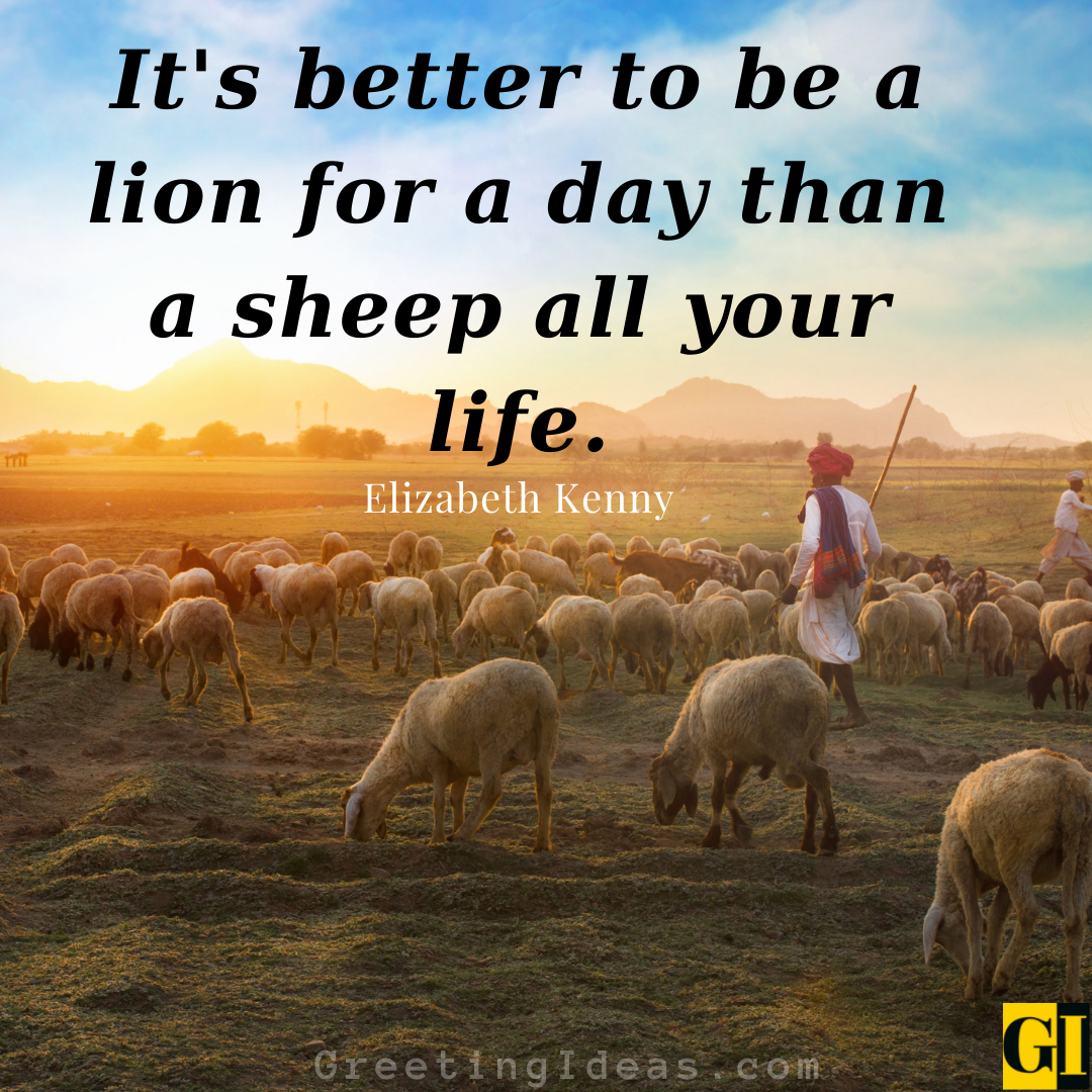 30 Inspiring Sheep Quotes and Saying to Break Mediocrity