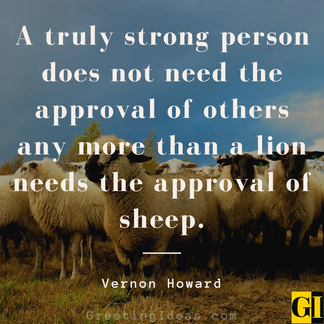 30 Inspiring Sheep Quotes and Saying to Break Mediocrity