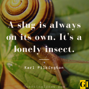 30 Best Slug Quotes and Sayings to beat Mental Lethargy