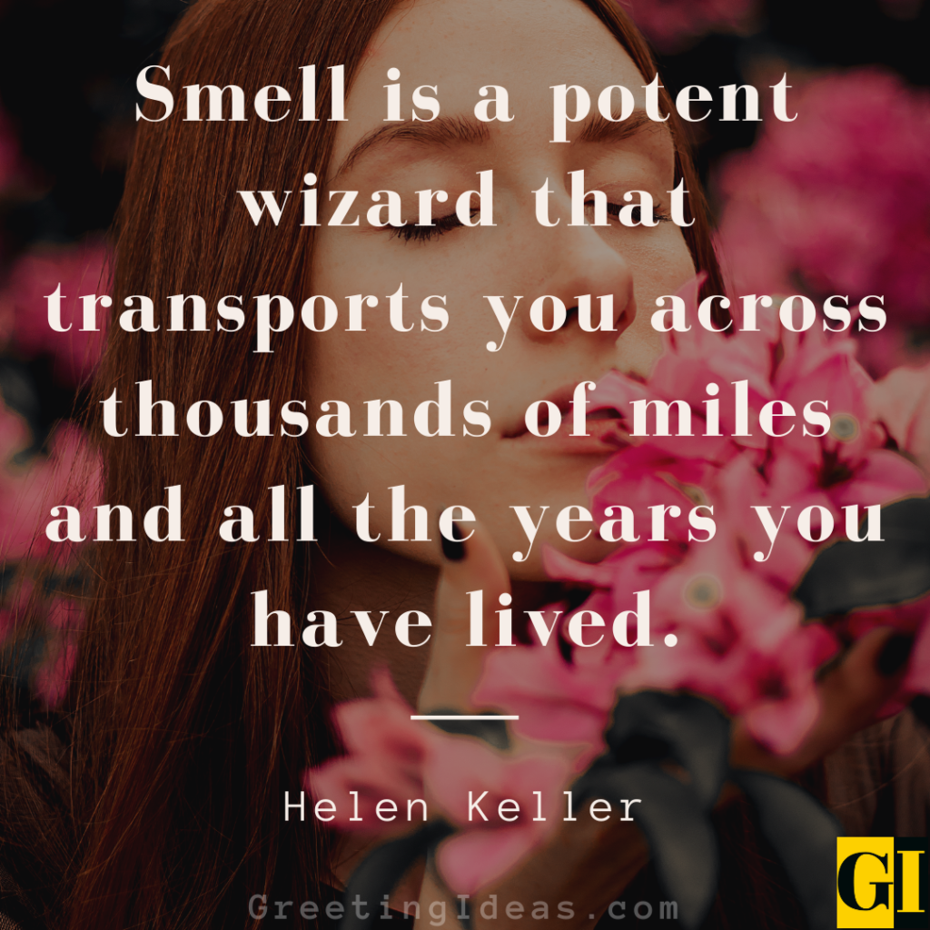 Smell Quotes Images Greeting Ideas 3