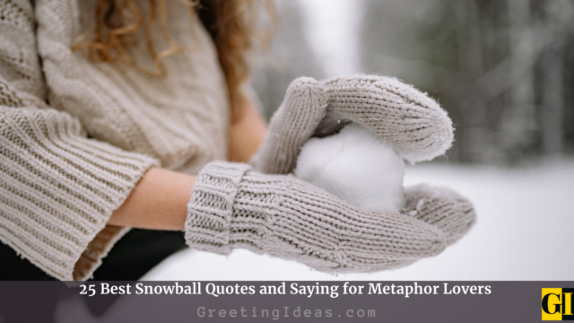 25 Best Snowball Quotes and Saying for Metaphor Lovers