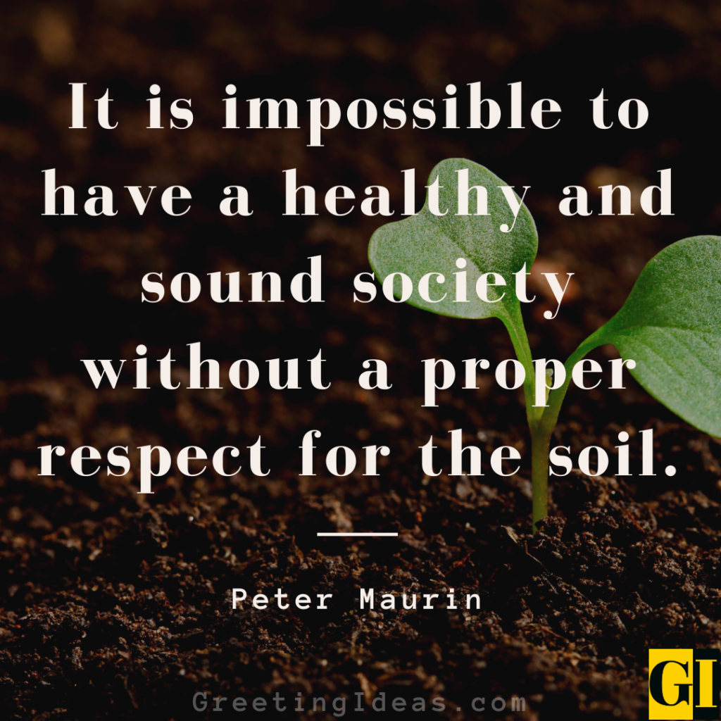 40-inspiring-soil-quotes-and-sayings-and-the-human-bond