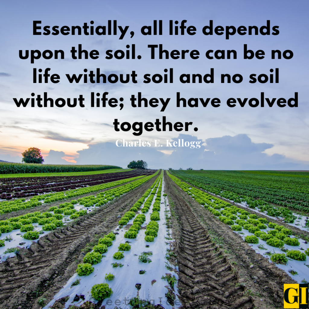 Soil Quotes Images Greeting Ideas 2