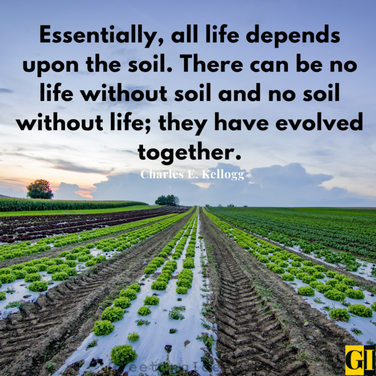 40 Inspiring Soil Quotes and Sayings and the Human Bond