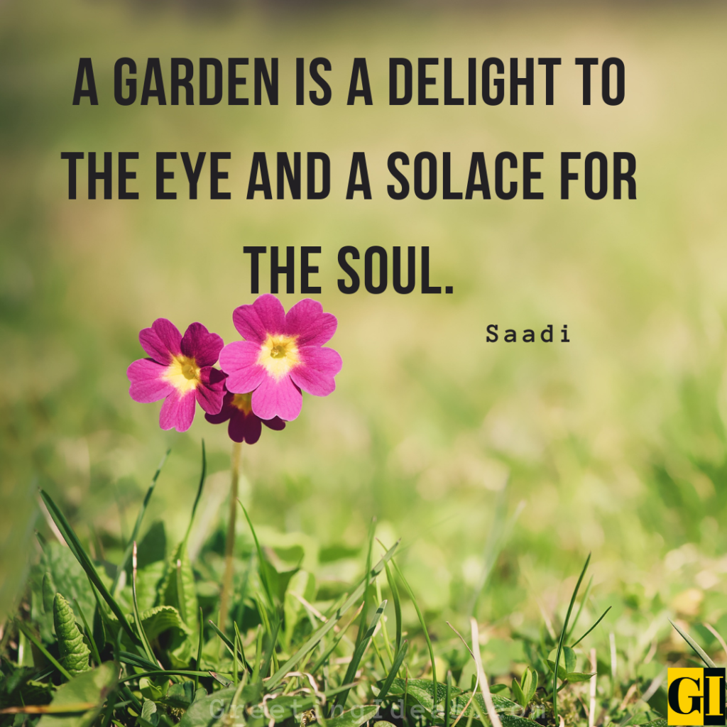 Solace Quotes Images Greeting Ideas 3