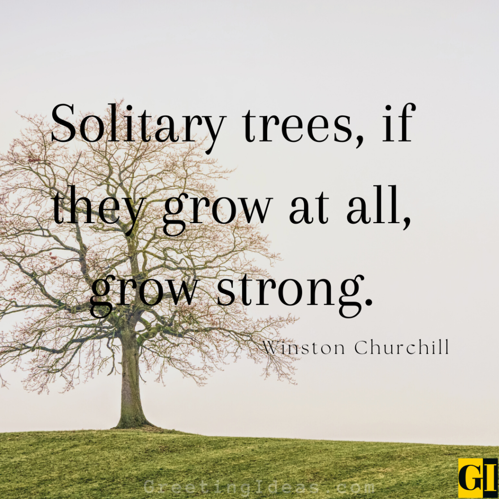 Solitary Quotes Images Greeting Ideas 1
