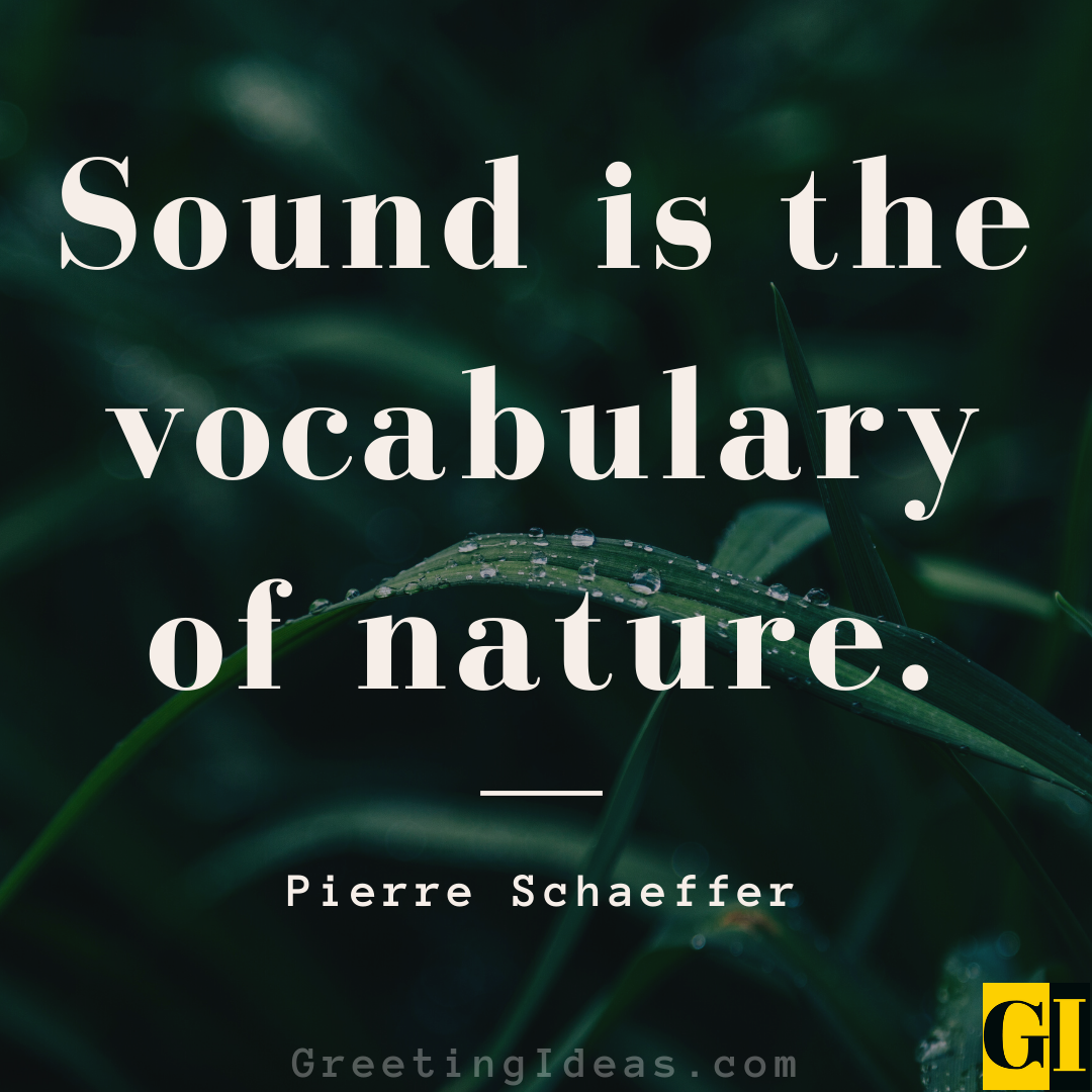 25 Soulful Sound Quotes and Sayings on Life and Silence