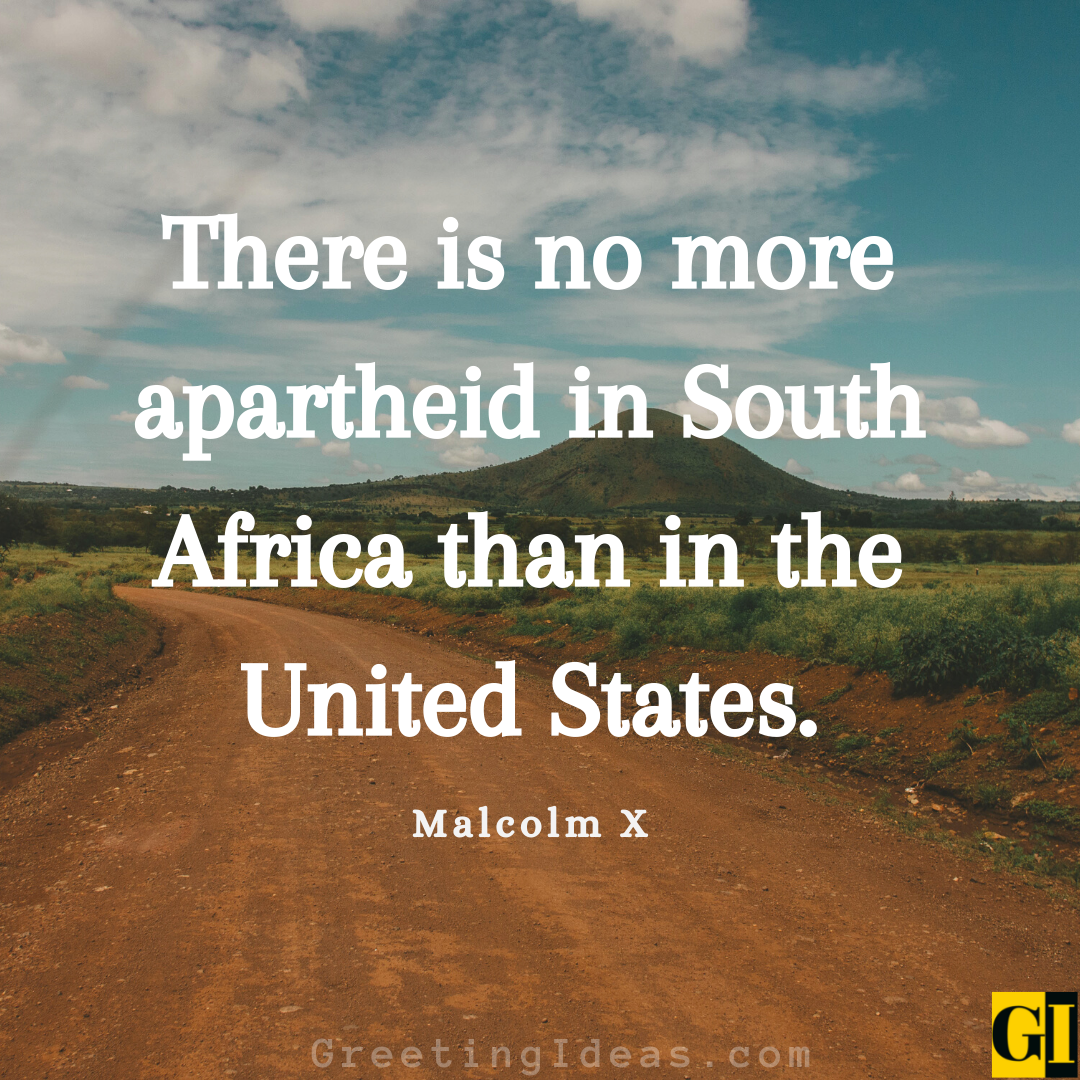 30 Best South Africa Quotes And Sayings on Love and Freedom