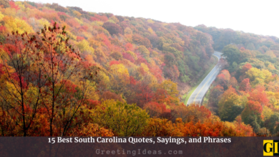15 Best South Carolina Quotes, Sayings, and Phrases