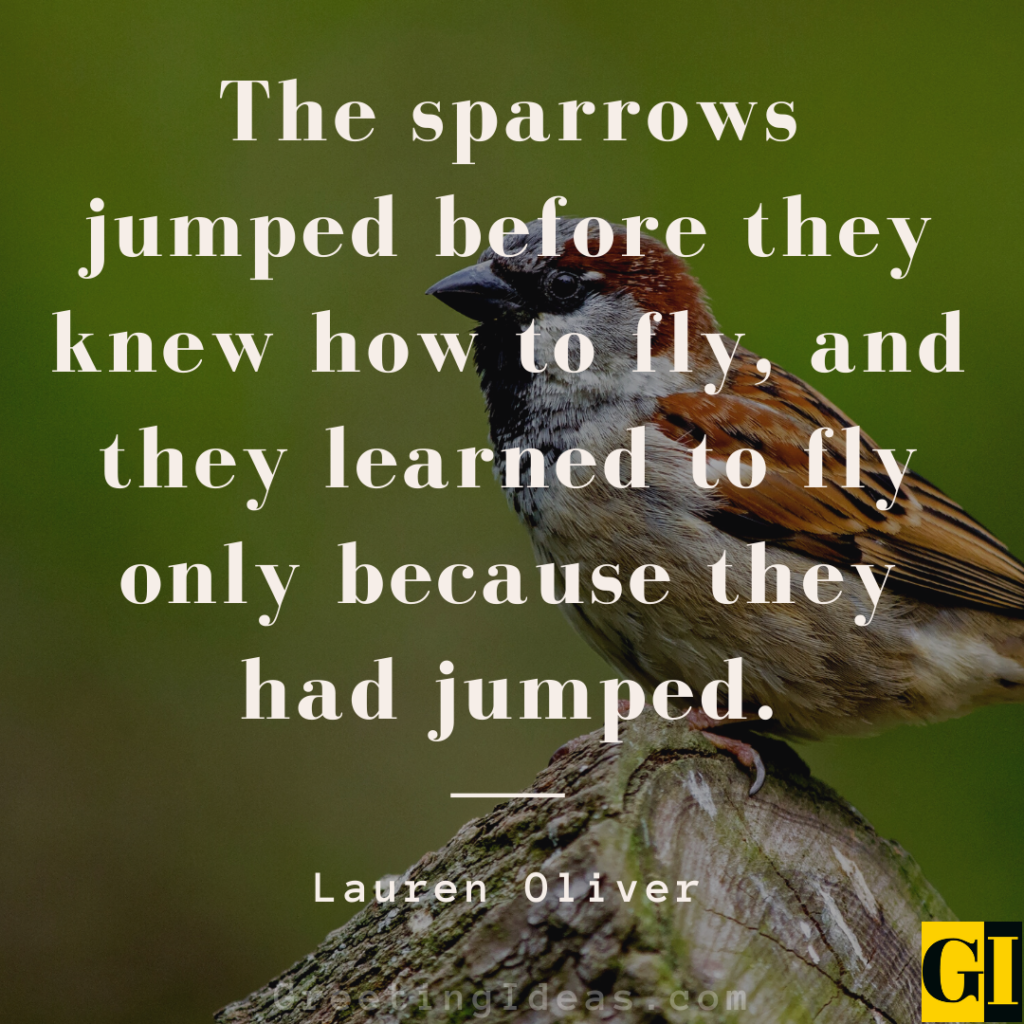 Sparrow Quotes Images Greeting Ideas 1