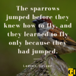 30 Famous Sparrow Quotes, Sayings, and Proverbs