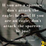 30 Famous Sparrow Quotes, Sayings, and Proverbs
