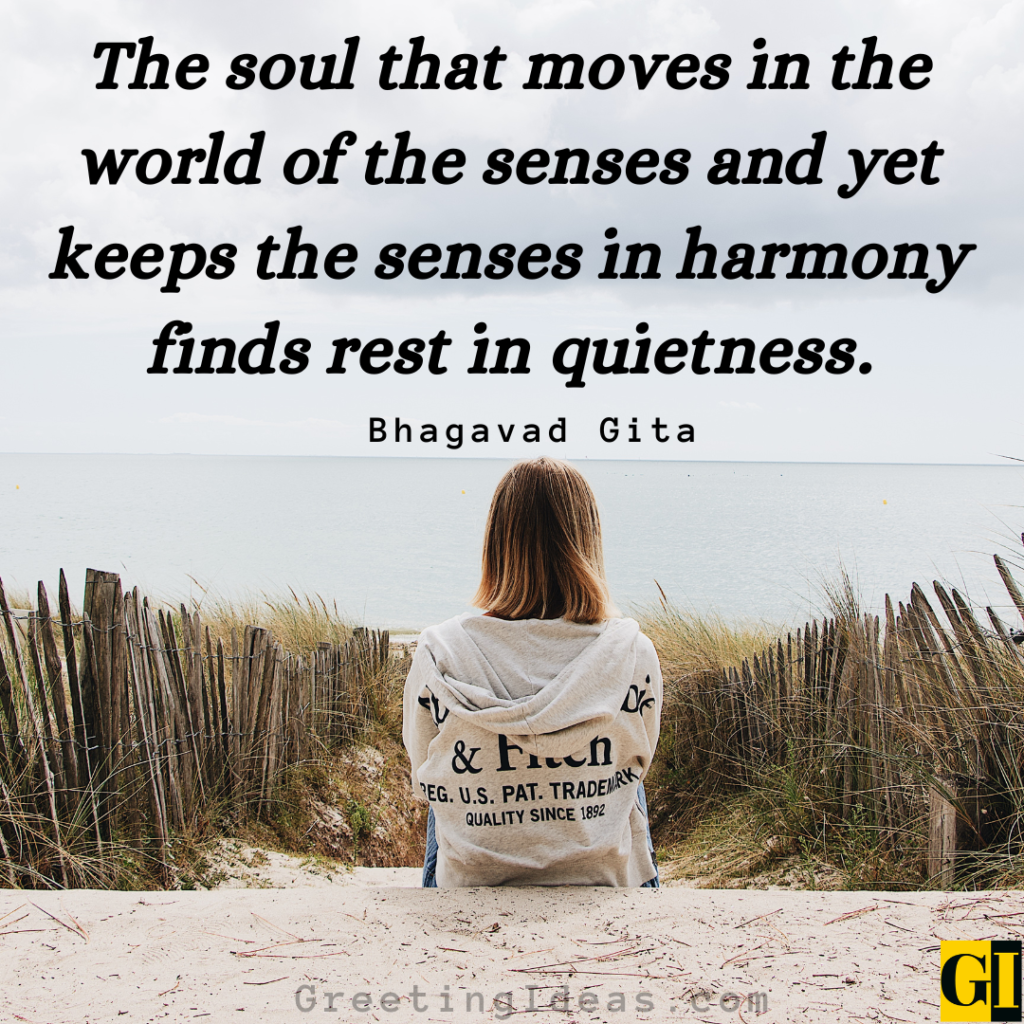 Stillness Quotes Images Greeting Ideas 2