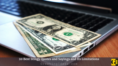 20 Best Stingy Quotes and Sayings and Its Limitations