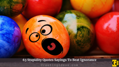 63 Stupidity Quotes Sayings To Beat Ignorance