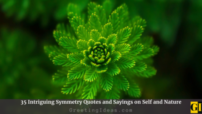 35 Intriguing Symmetry Quotes and Sayings on Self and Nature
