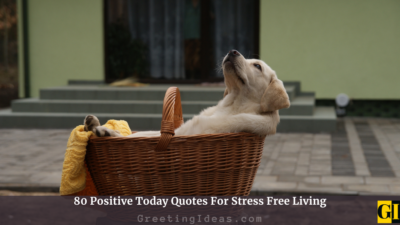 80 Positive Today Quotes For Stress Free Living