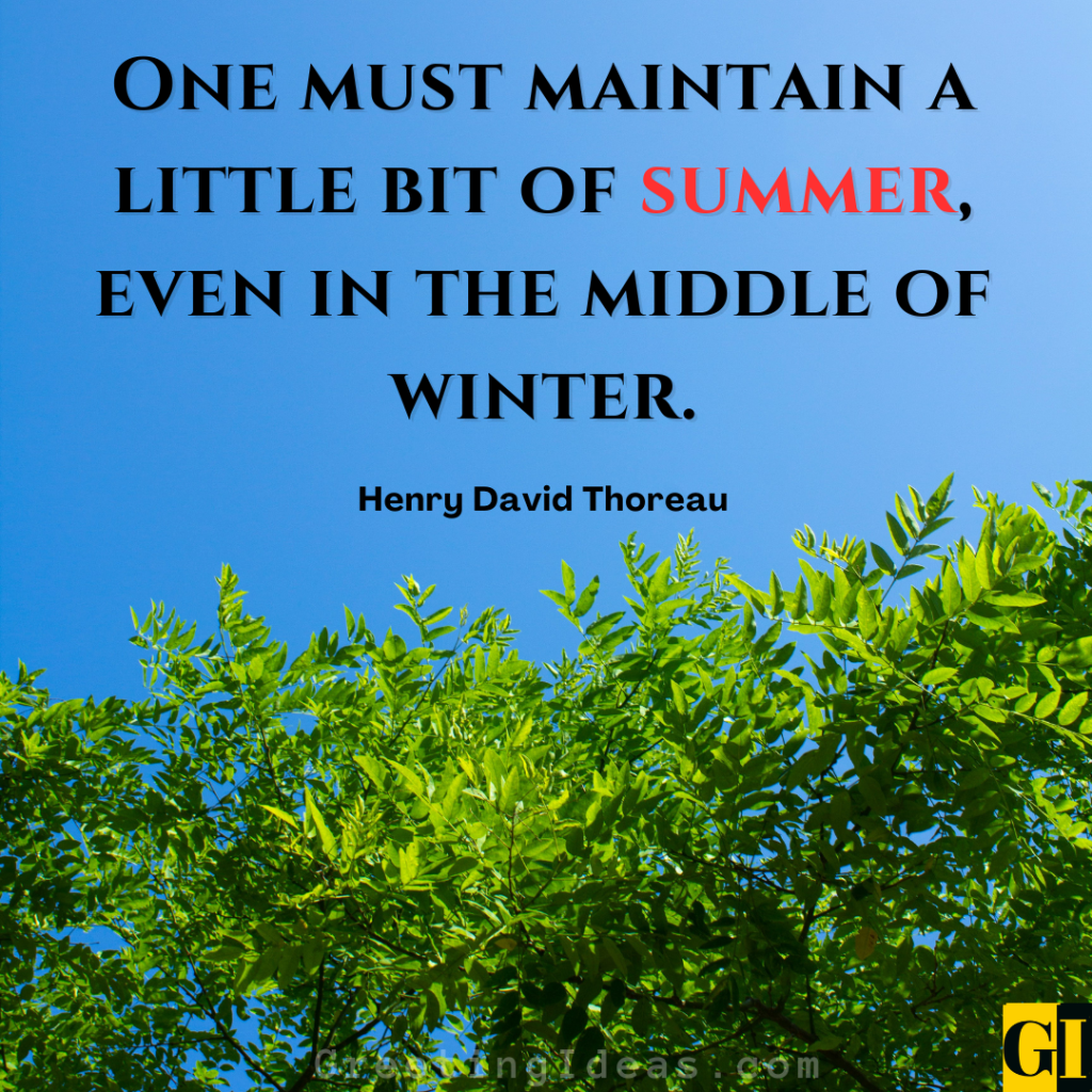 Beach and sunshine quote inspiration showing summer memories and joyful moments