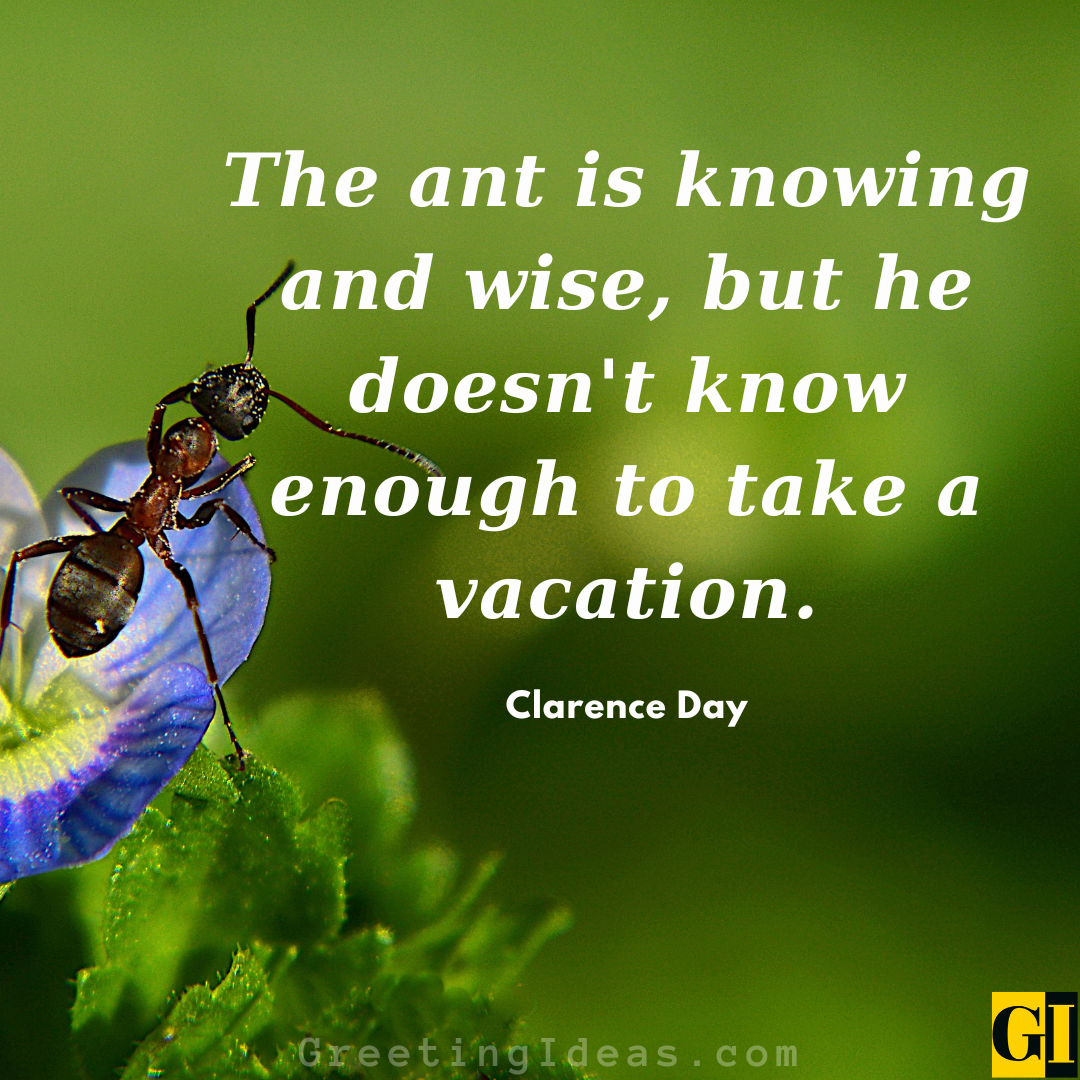 35 Motivational Ant Quotes On Team Work