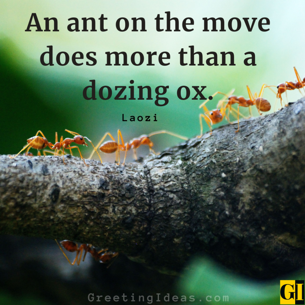 National Ant Day 2024 Quotes - Deedee Mildred