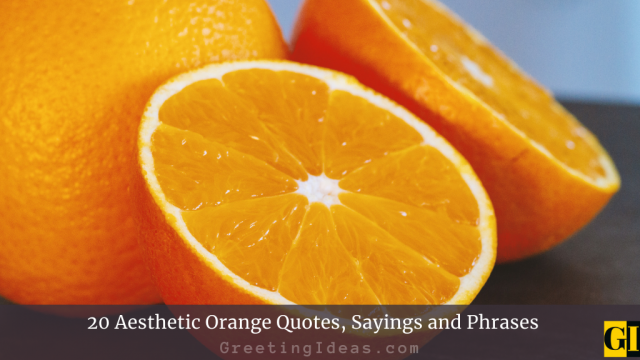 20 Aesthetic Orange Quotes, Sayings and Phrases