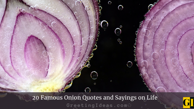 20 Famous Onion Quotes and Sayings on Life