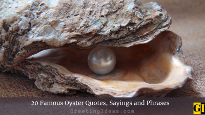 20 Famous Oyster Quotes, Sayings and Phrases