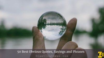 50 Best Obvious Quotes, Sayings and Phrases
