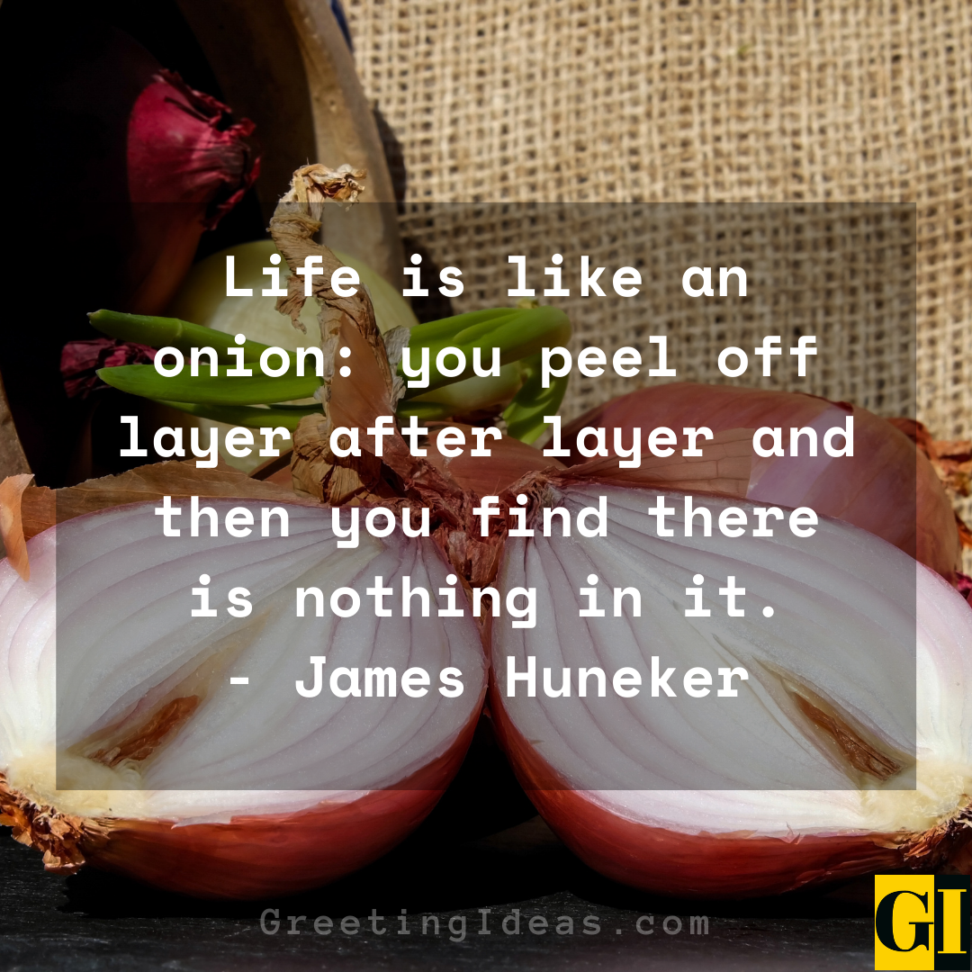 Onion Quotes Greeting Ideas 3