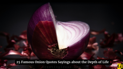 25 Famous Onion Quotes Sayings about the Depth of Life