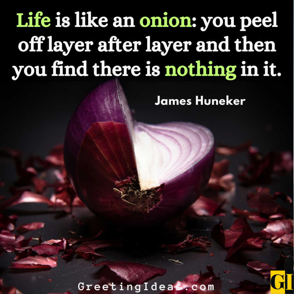 Onion Quotes Images Greeting Ideas 2