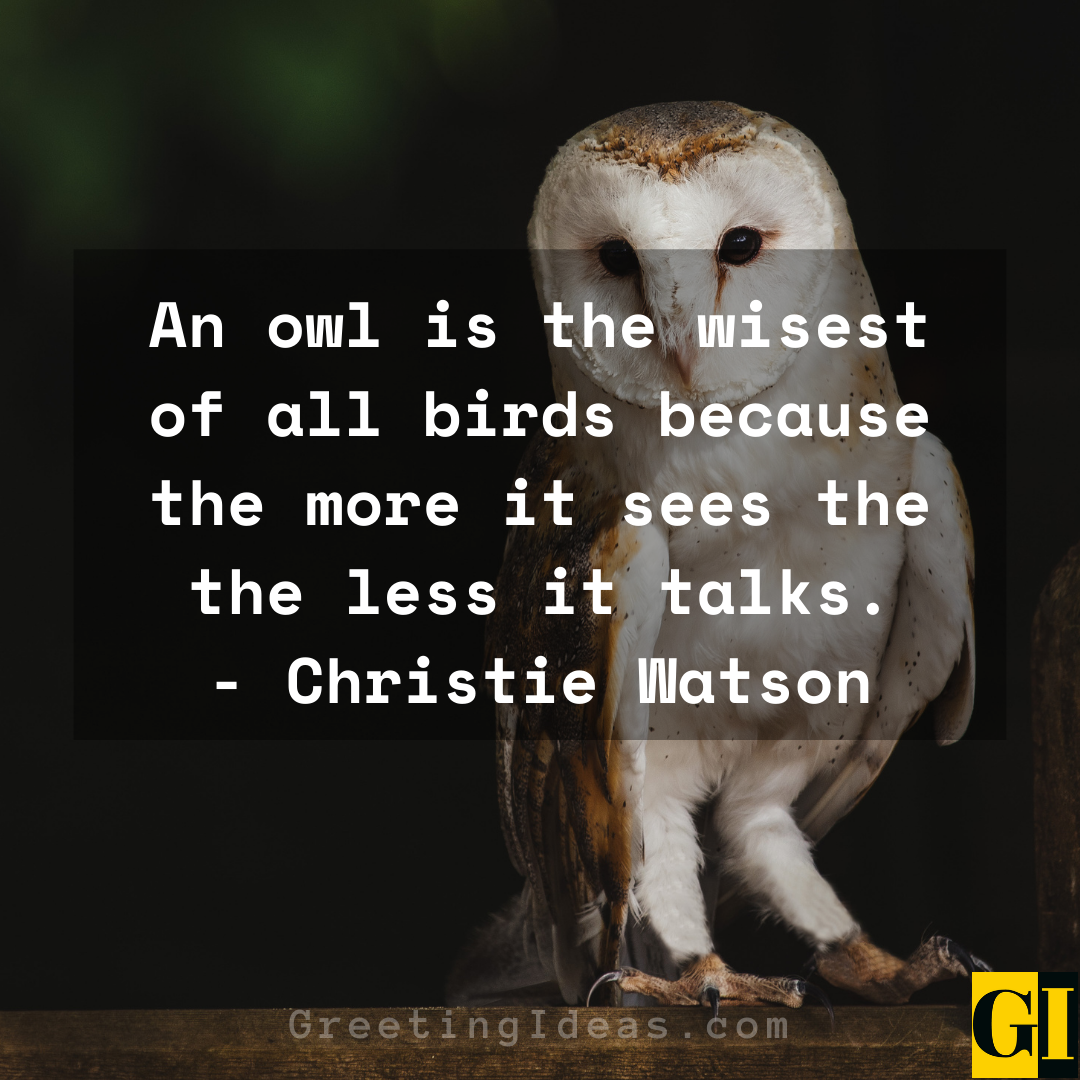Owl Quotes Greeting Ideas 2