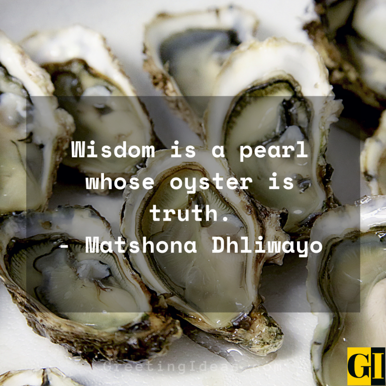 20 Famous Oyster Quotes, Sayings and Phrases