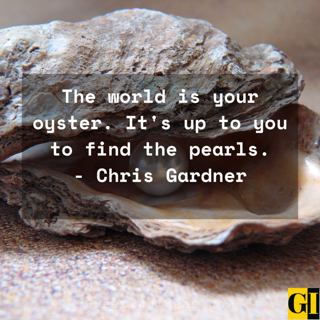 sayings like the world is my oyster