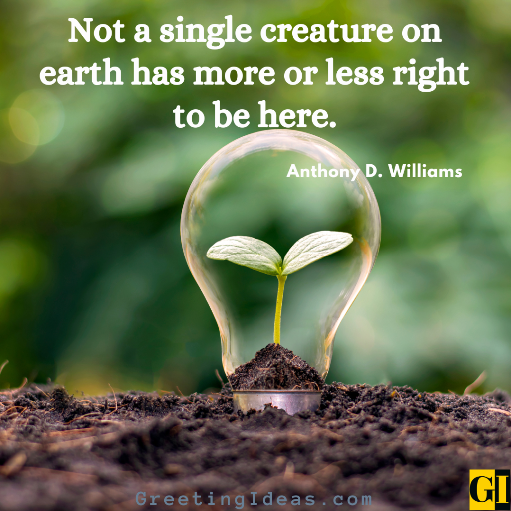 Earthlings Quotes Images Greeting Ideas 3