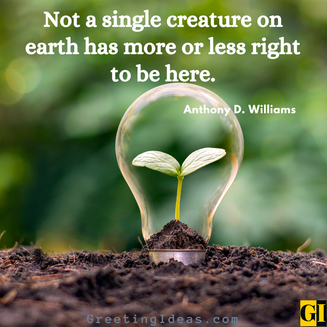 40 Great Earthlings Quotes Sayings To Save The Earth