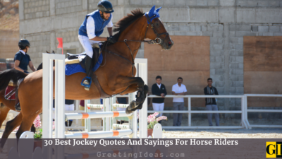 30 Best Jockey Quotes And Sayings For Horse Riders