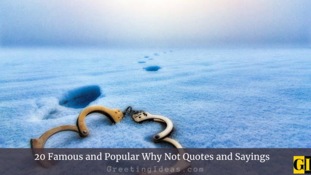20 Famous and Popular Why Not Quotes and Sayings
