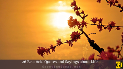 26 Best Acid Quotes And Sayings About Life