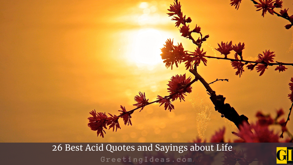 26 Best Acid Quotes and Sayings about Life