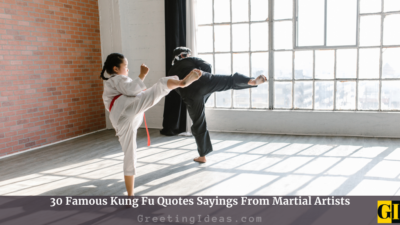 30 Famous Kung Fu Quotes Sayings From Martial Artists