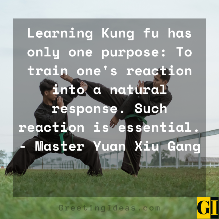 30 Famous Kung Fu Quotes Sayings From Martial Artists