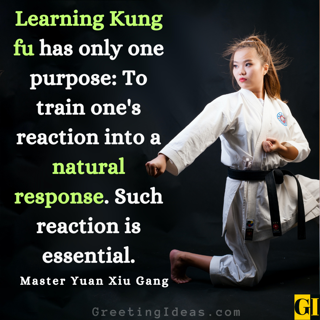 30 Famous Kung Fu Quotes Sayings From Martial Artists