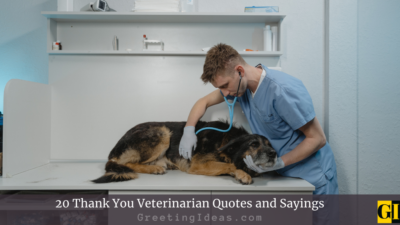 20 Thank You Veterinarian Quotes and Sayings