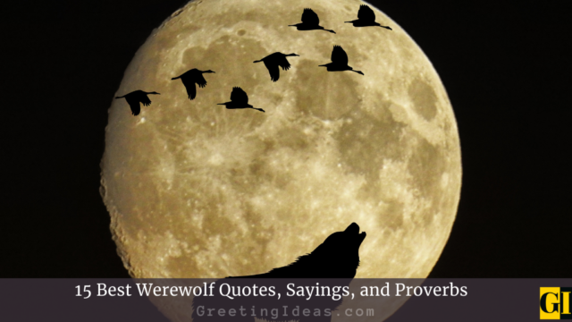 15 Best Werewolf Quotes, Sayings, and Proverbs