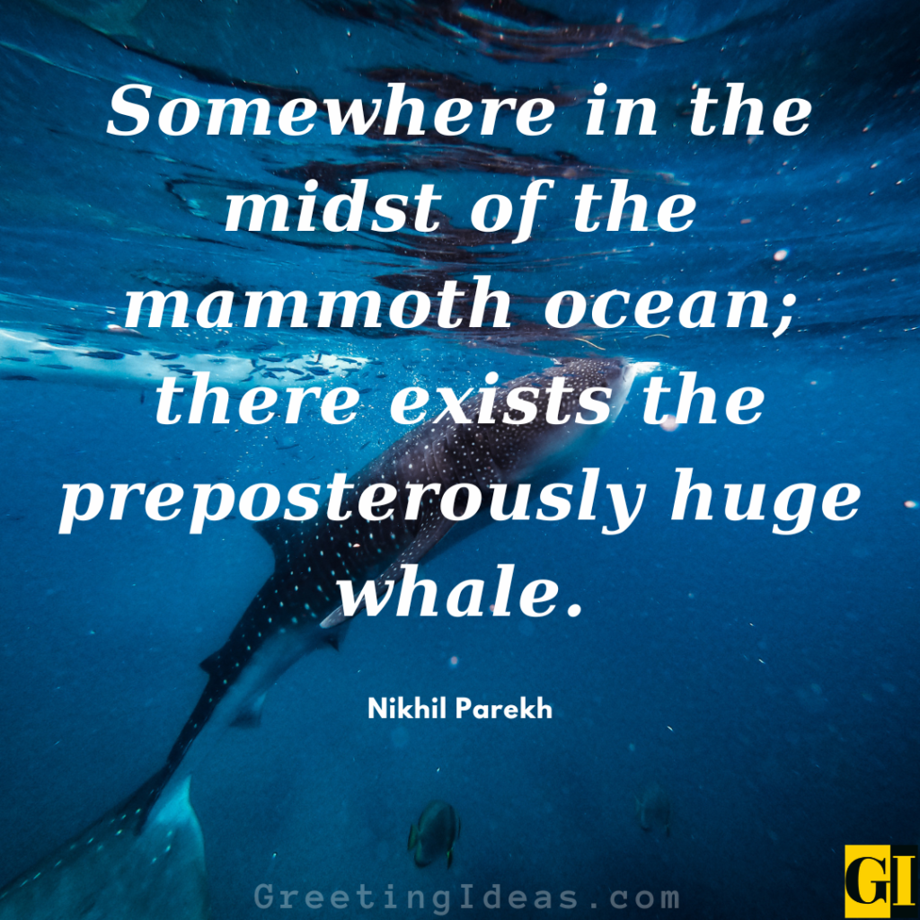 Whale Quotes Images Greeting Ideas 1